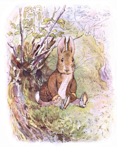 Benjamin Rabbit